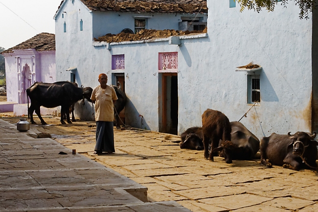 Sur la route d'Orchha-060